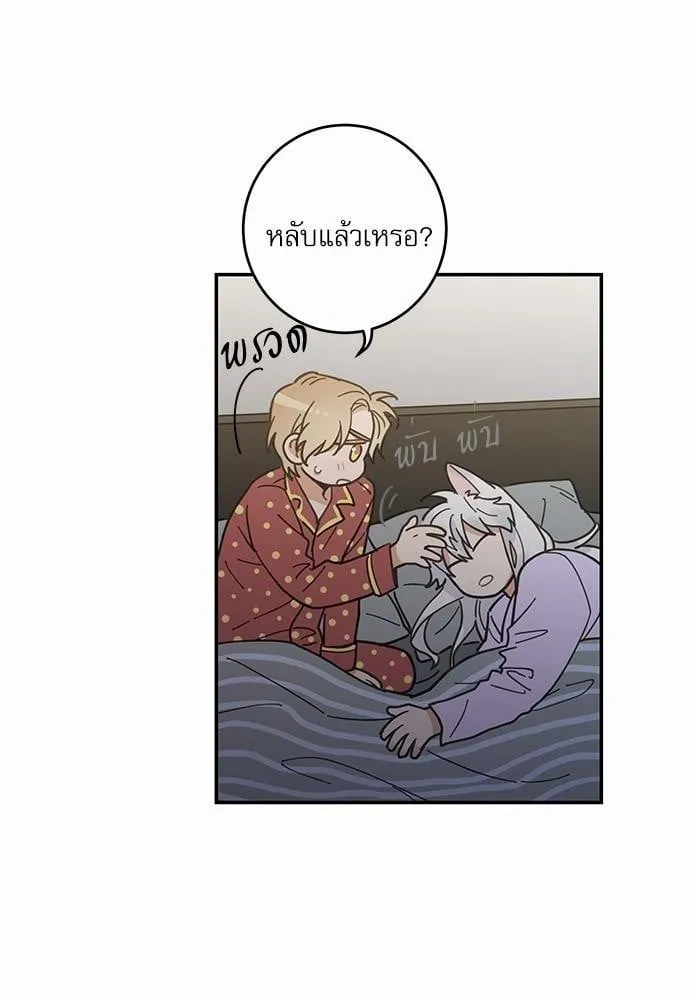 My One and Only Cat ตอนที่ 752 My One and Only Cat ตอนที่ 752