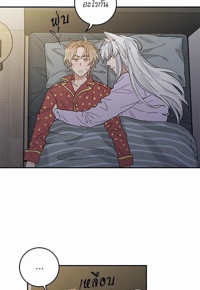 My One and Only Cat ตอนที่ 754 My One and Only Cat ตอนที่ 754