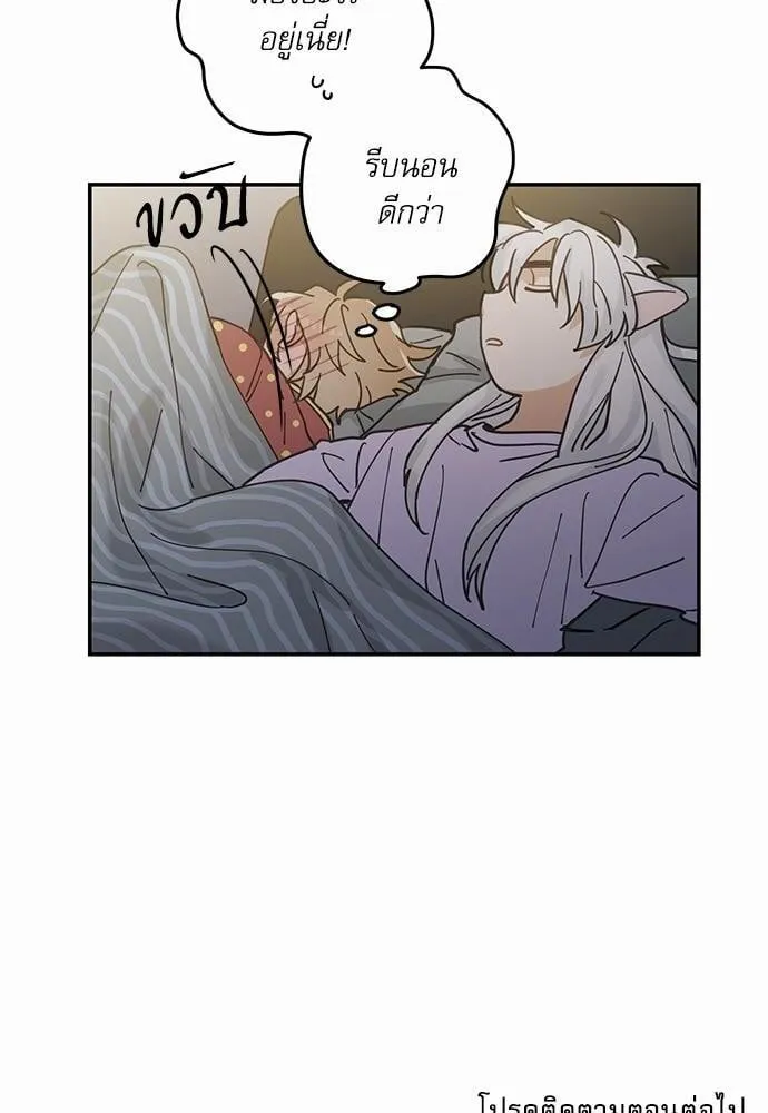 My One and Only Cat ตอนที่ 758 My One and Only Cat ตอนที่ 758