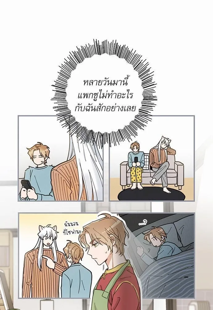 My One and Only Cat ตอนที่ 807