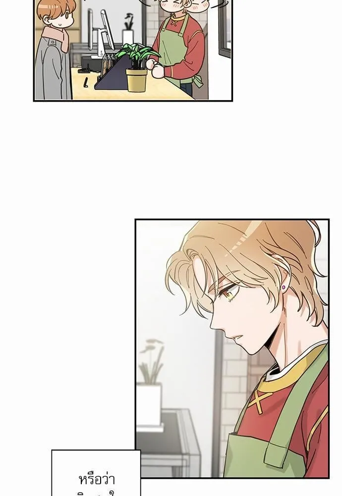 My One and Only Cat ตอนที่ 809