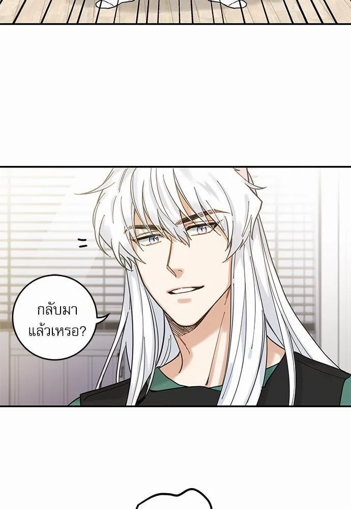 My One and Only Cat ตอนที่ 823