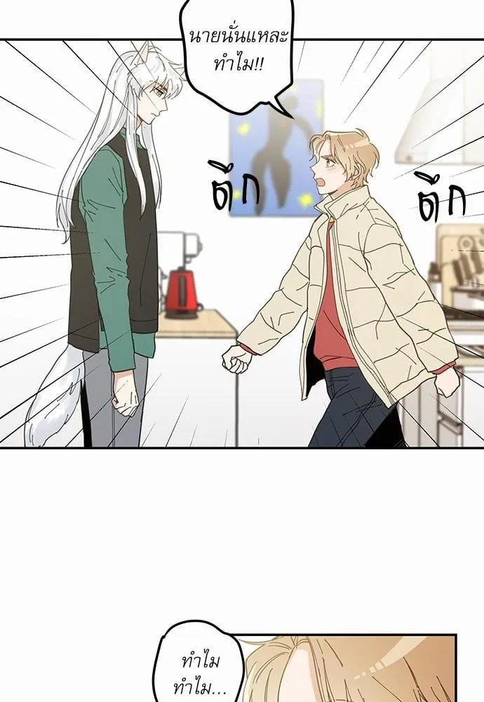 My One and Only Cat ตอนที่ 824