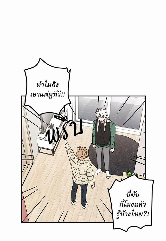 My One and Only Cat ตอนที่ 826