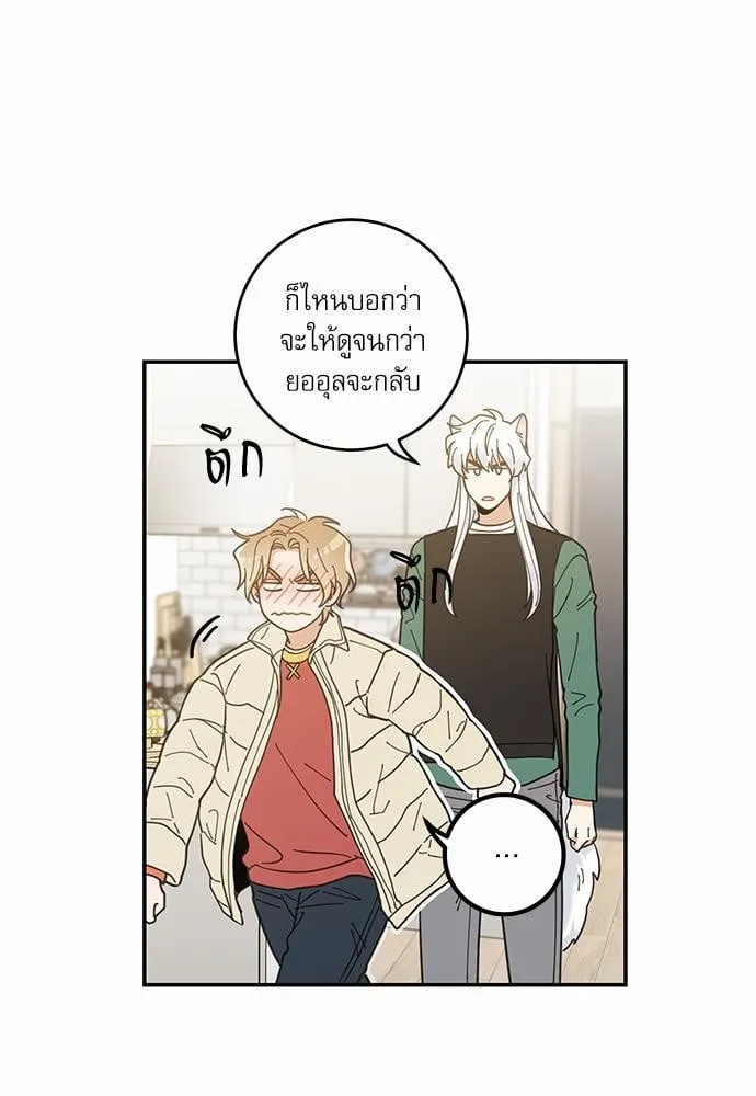 My One and Only Cat ตอนที่ 827