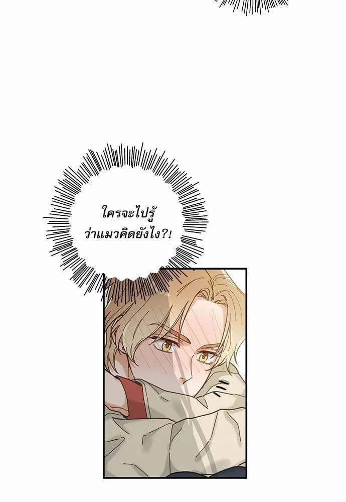 My One and Only Cat ตอนที่ 831