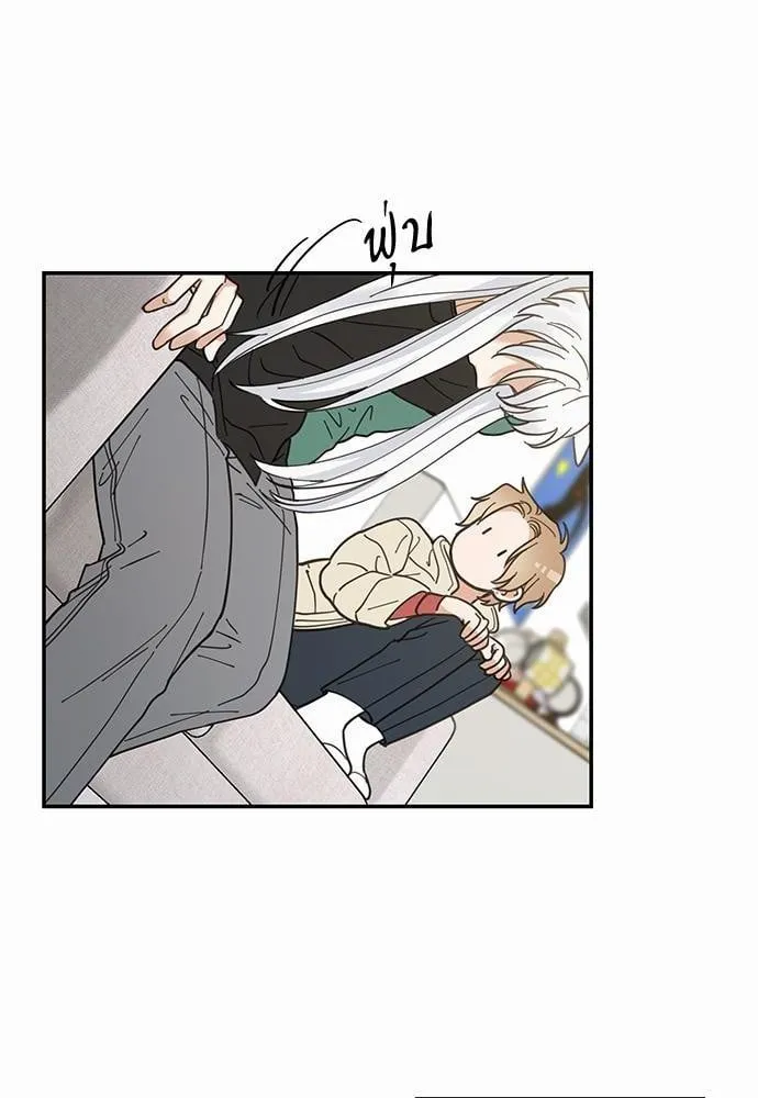 My One and Only Cat ตอนที่ 832