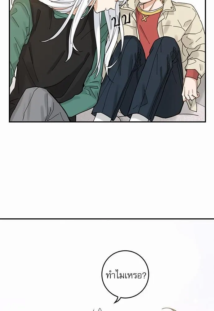 My One and Only Cat ตอนที่ 834