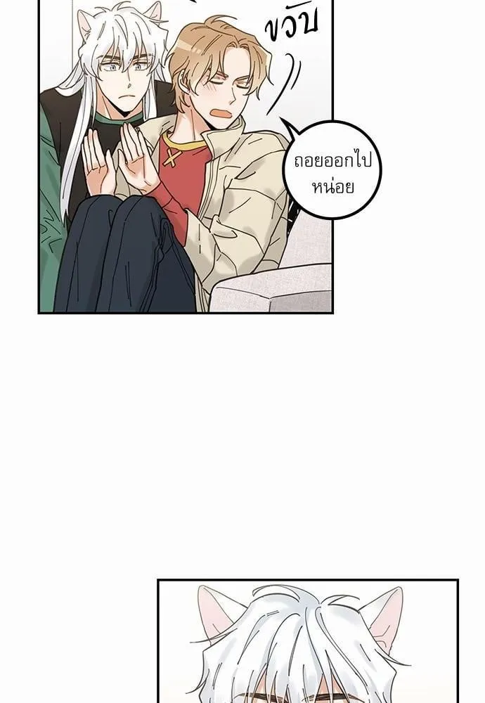 My One and Only Cat ตอนที่ 836