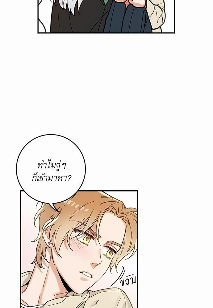 My One and Only Cat ตอนที่ 838