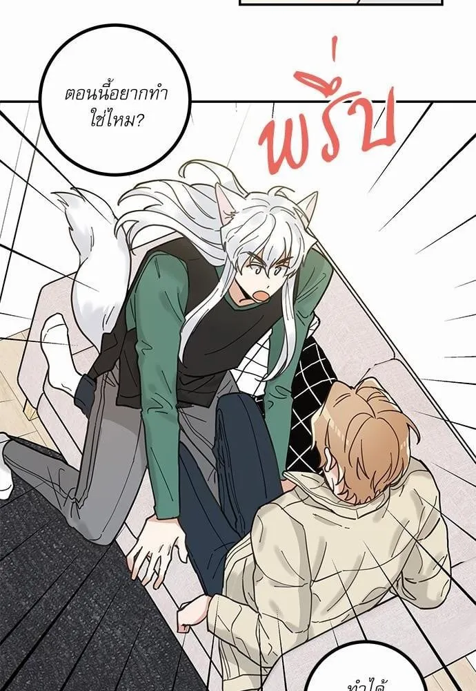 My One and Only Cat ตอนที่ 846