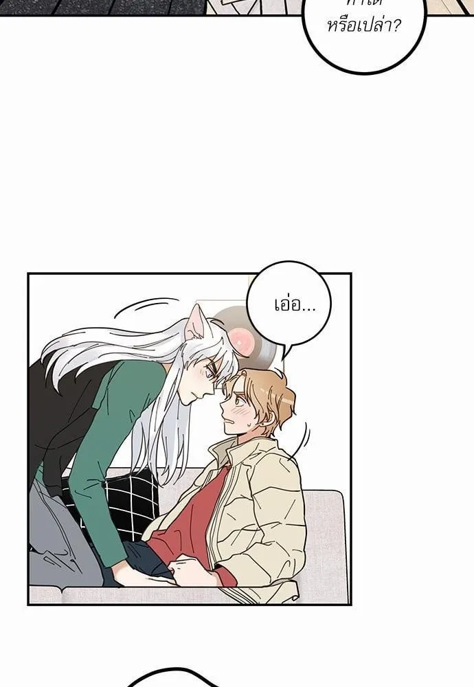 My One and Only Cat ตอนที่ 847