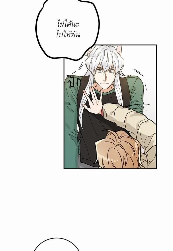 My One and Only Cat ตอนที่ 848