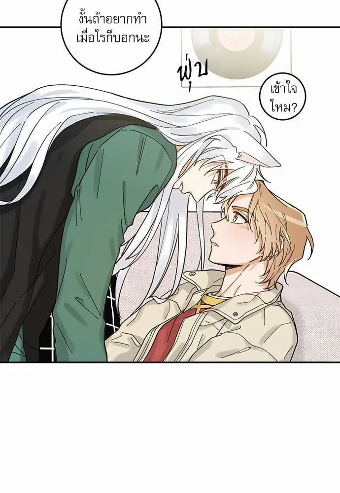 My One and Only Cat ตอนที่ 849