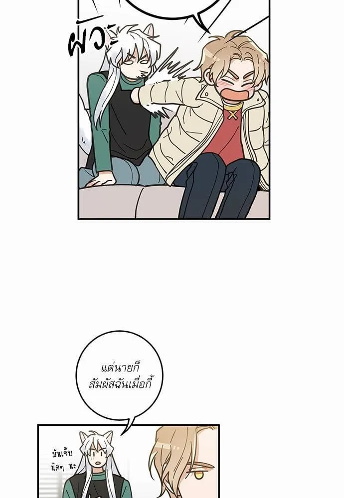 My One and Only Cat ตอนที่ 851