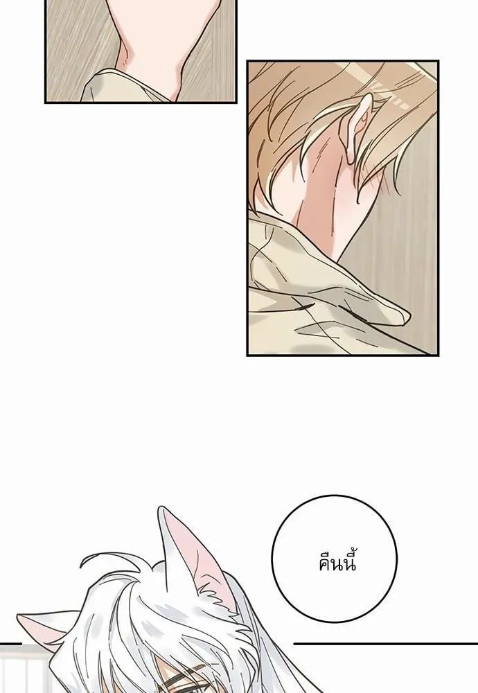 My One and Only Cat ตอนที่ 854