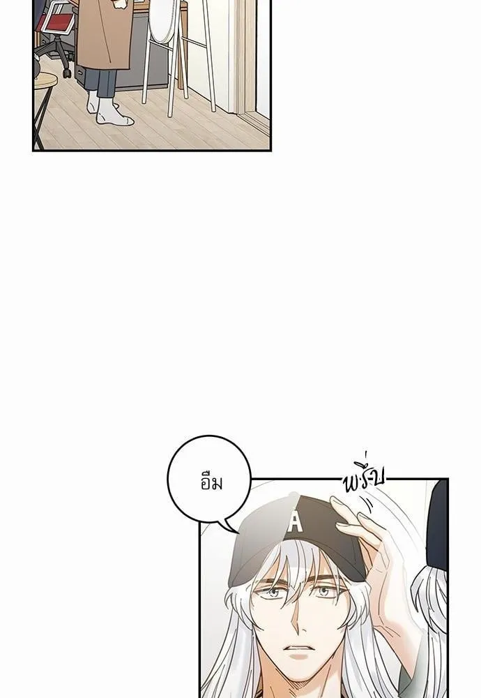 My One and Only Cat ตอนที่ 902