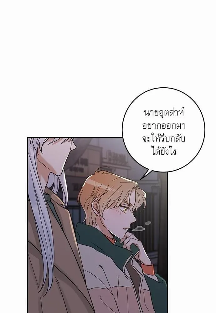 My One and Only Cat ตอนที่ 910