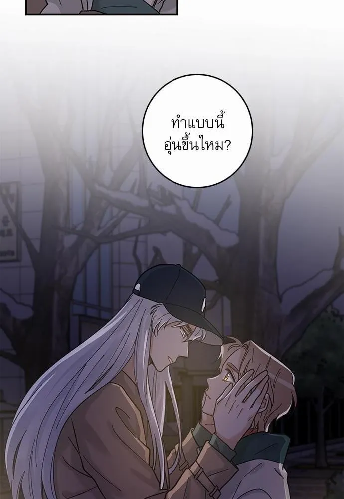 My One and Only Cat ตอนที่ 912