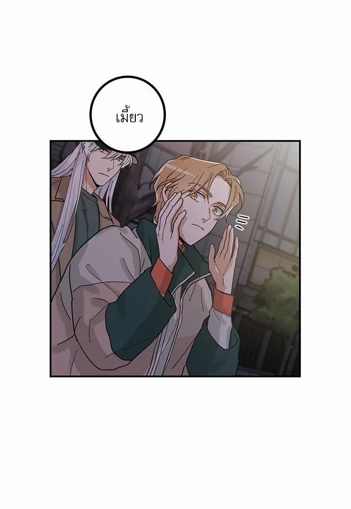 My One and Only Cat ตอนที่ 917