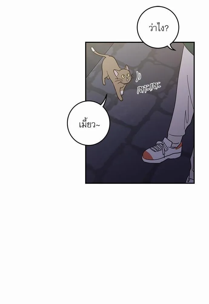 My One and Only Cat ตอนที่ 918
