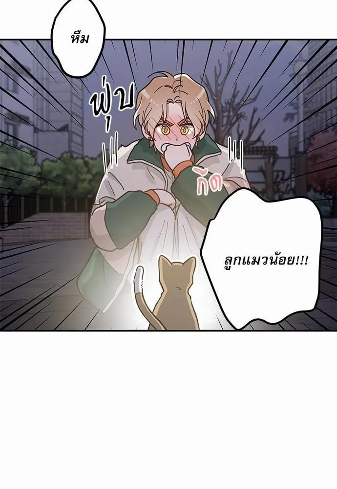 My One and Only Cat ตอนที่ 920