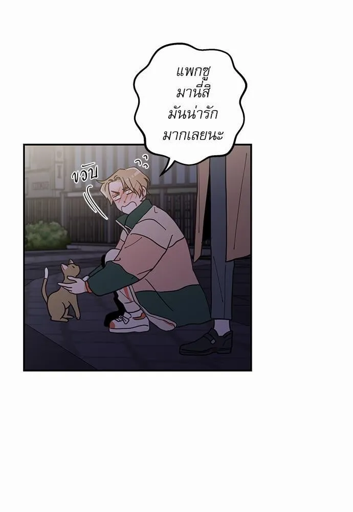 My One and Only Cat ตอนที่ 921