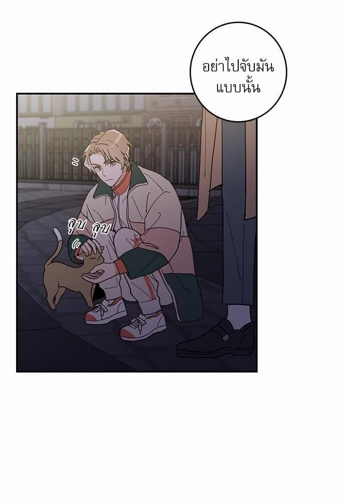 My One and Only Cat ตอนที่ 923