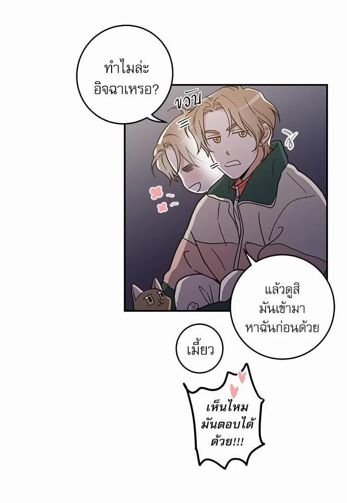 My One and Only Cat ตอนที่ 924