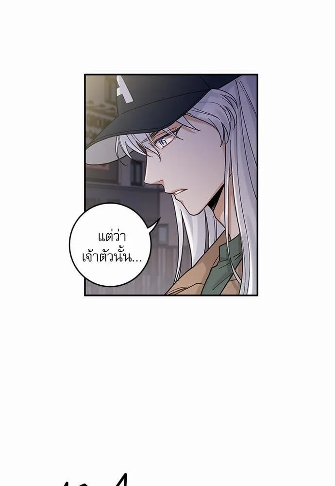 My One and Only Cat ตอนที่ 925