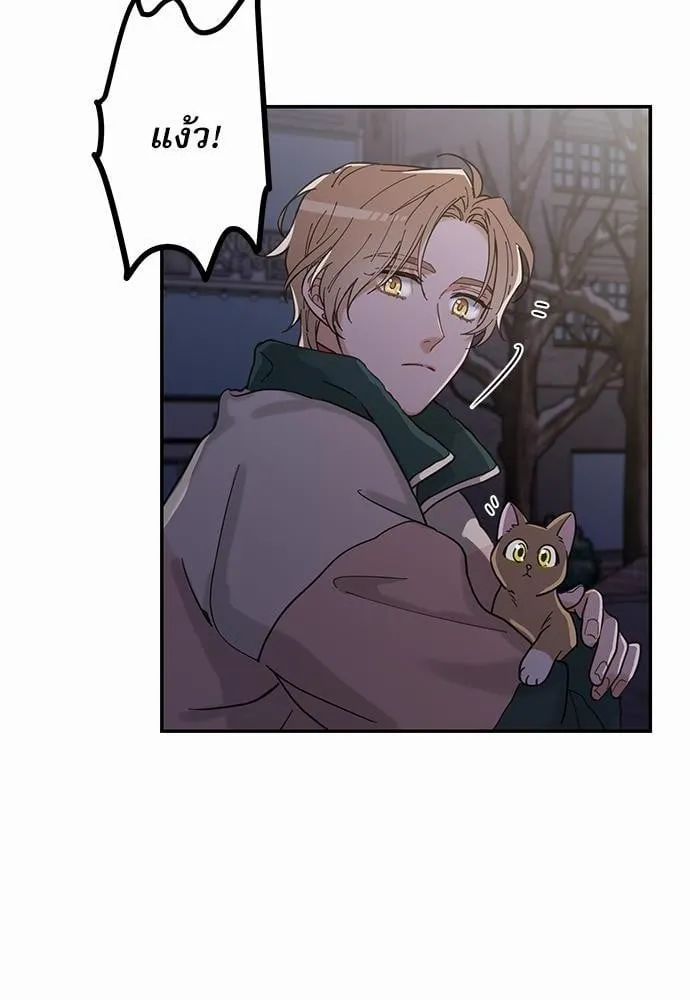 My One and Only Cat ตอนที่ 926