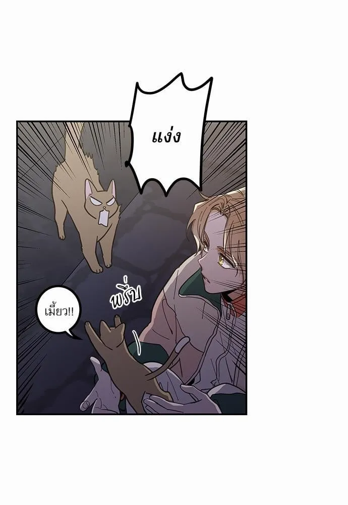 My One and Only Cat ตอนที่ 927