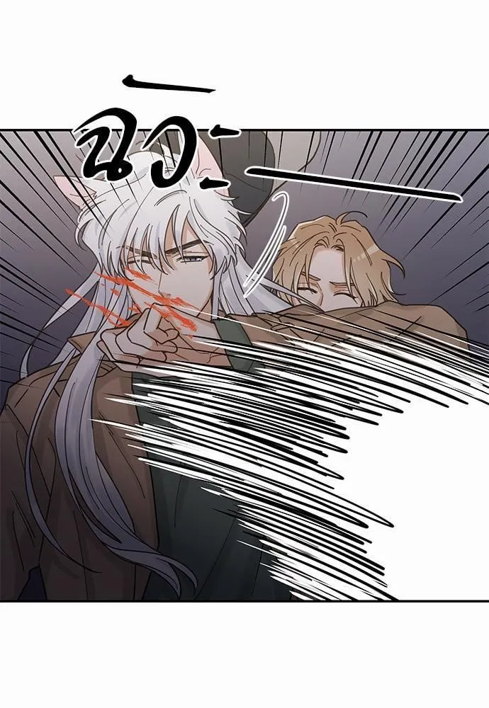 My One and Only Cat ตอนที่ 929