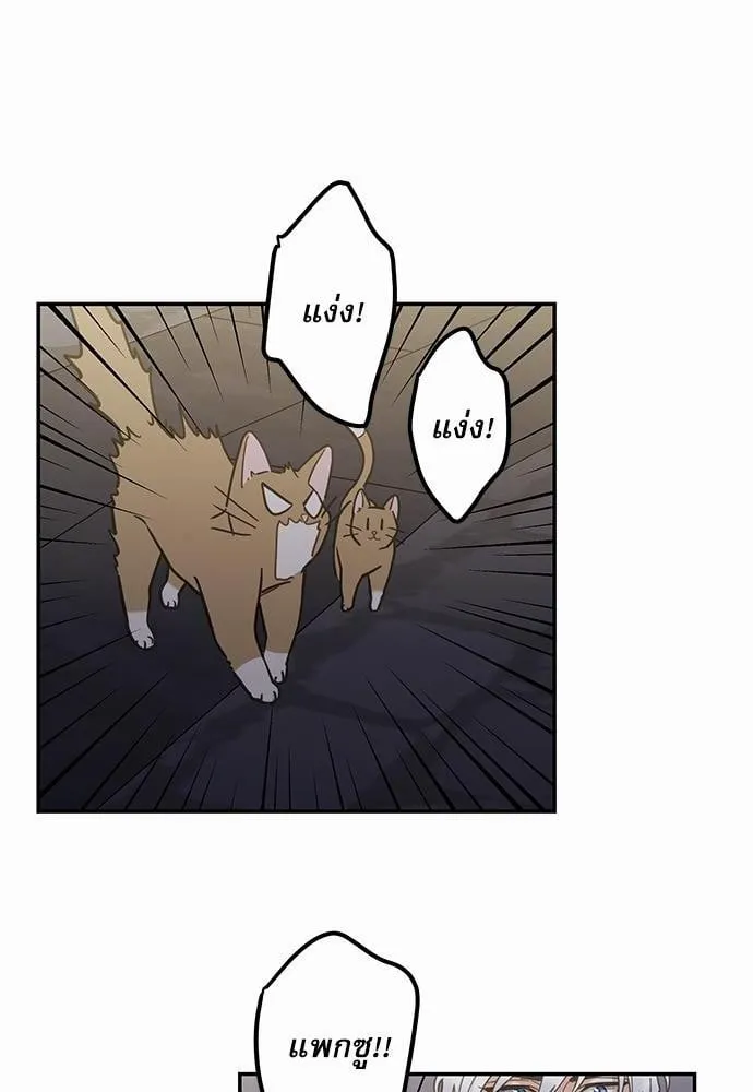 My One and Only Cat ตอนที่ 930