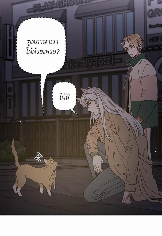 My One and Only Cat ตอนที่ 934