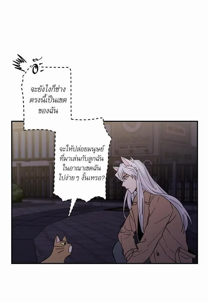 My One and Only Cat ตอนที่ 936