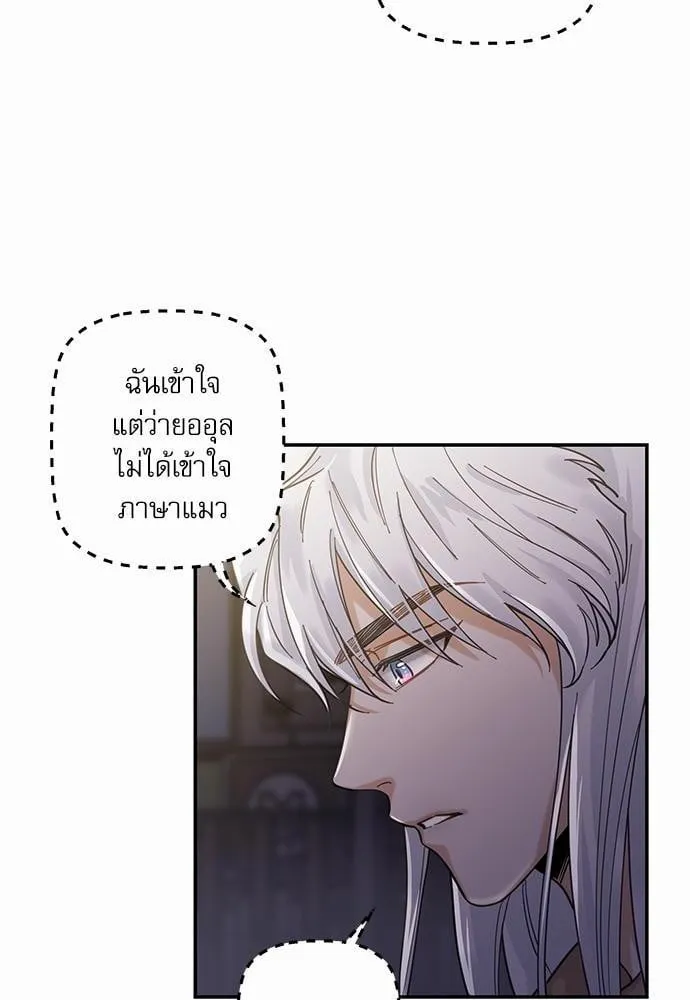 My One and Only Cat ตอนที่ 938