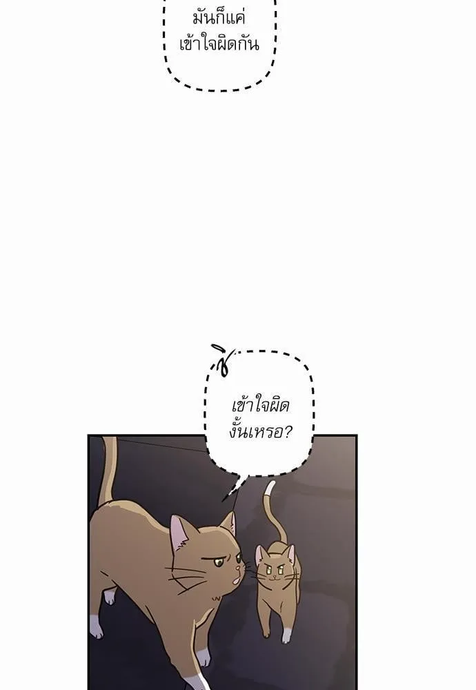 My One and Only Cat ตอนที่ 939