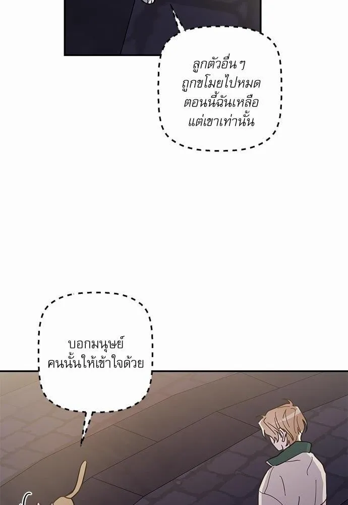 My One and Only Cat ตอนที่ 940