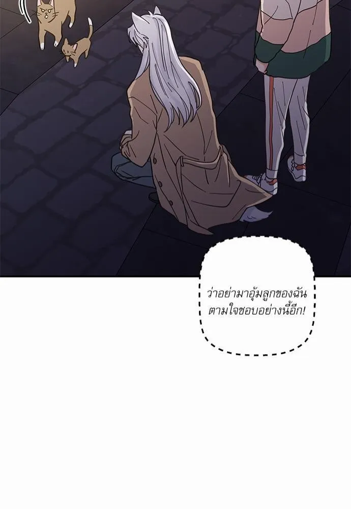 My One and Only Cat ตอนที่ 941