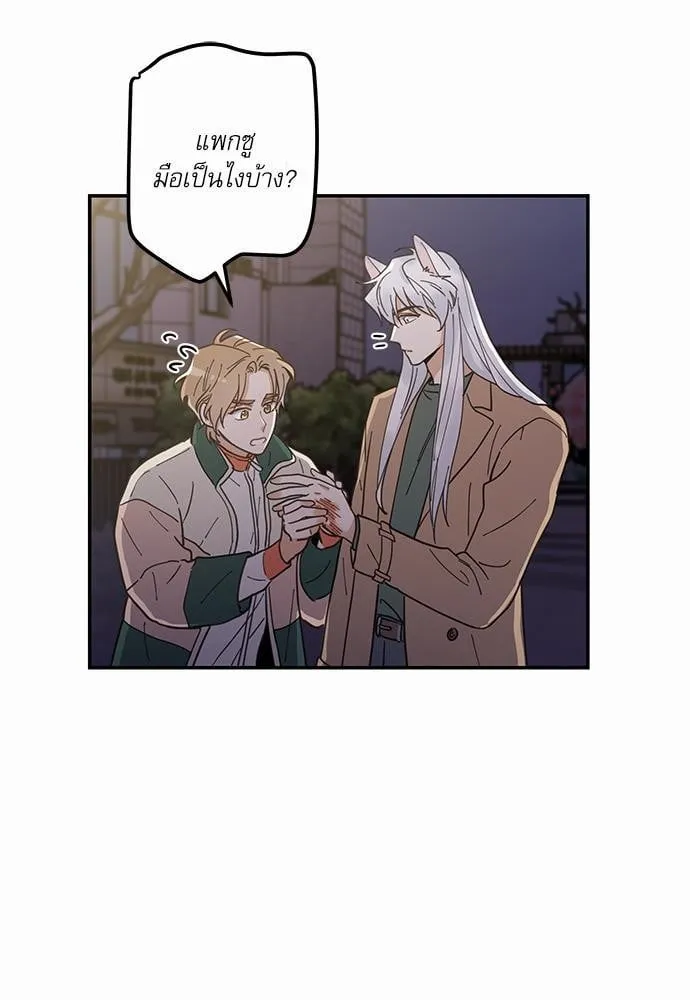 My One and Only Cat ตอนที่ 943