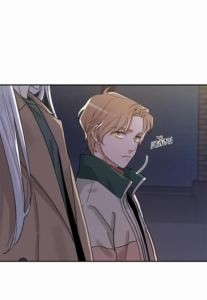 My One and Only Cat ตอนที่ 948