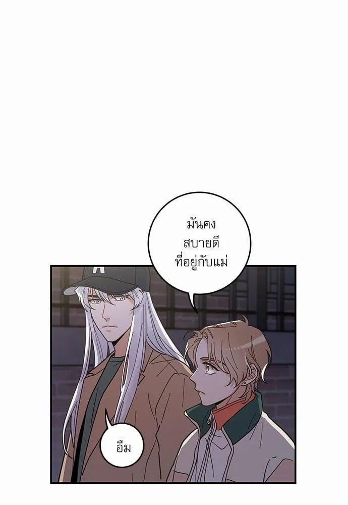 My One and Only Cat ตอนที่ 952