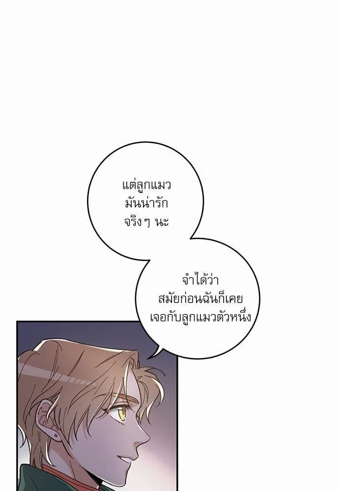 My One and Only Cat ตอนที่ 953
