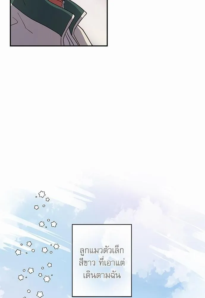 My One and Only Cat ตอนที่ 954