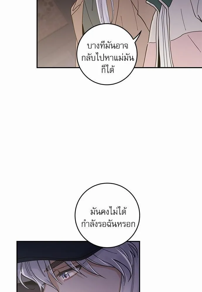 My One and Only Cat ตอนที่ 957