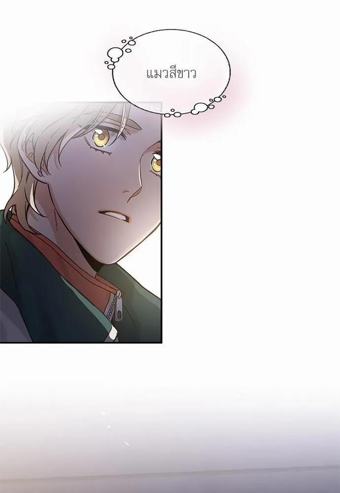 My One and Only Cat ตอนที่ 961