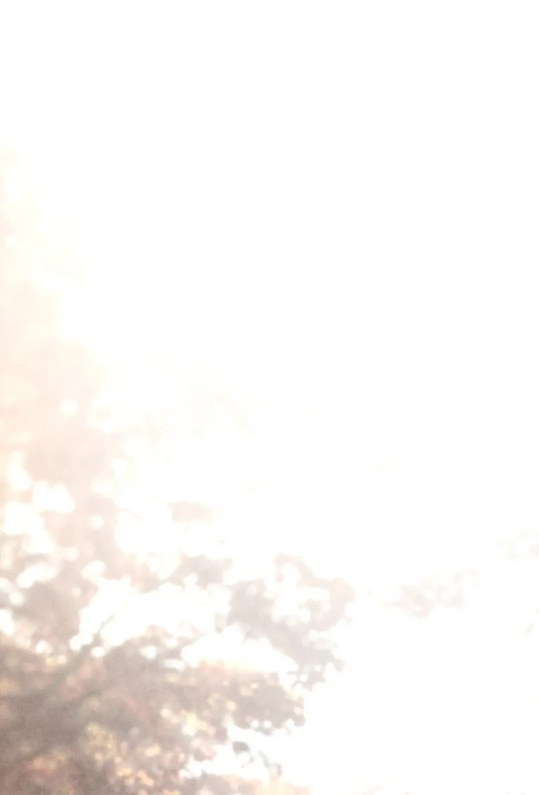 The Royal Bridegroom ตอนที่ 3901 The Royal Bridegroom ตอนที่ 3901