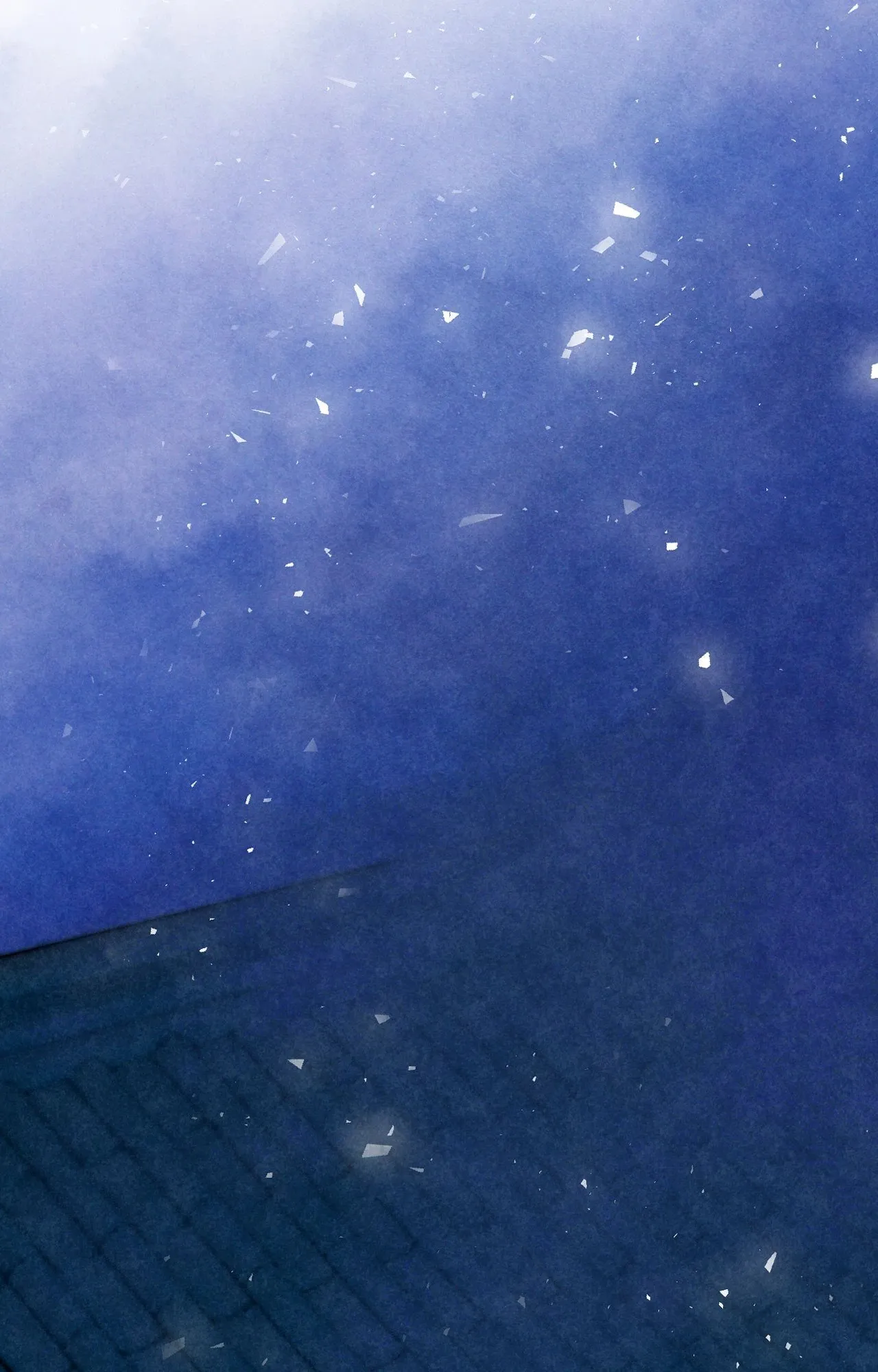 The Royal Bridegroom ตอนที่ 4970