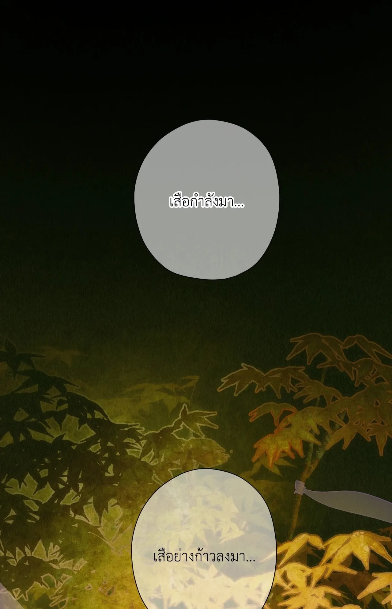 บ่วงรักข้ามภพ ตอนที่ 801